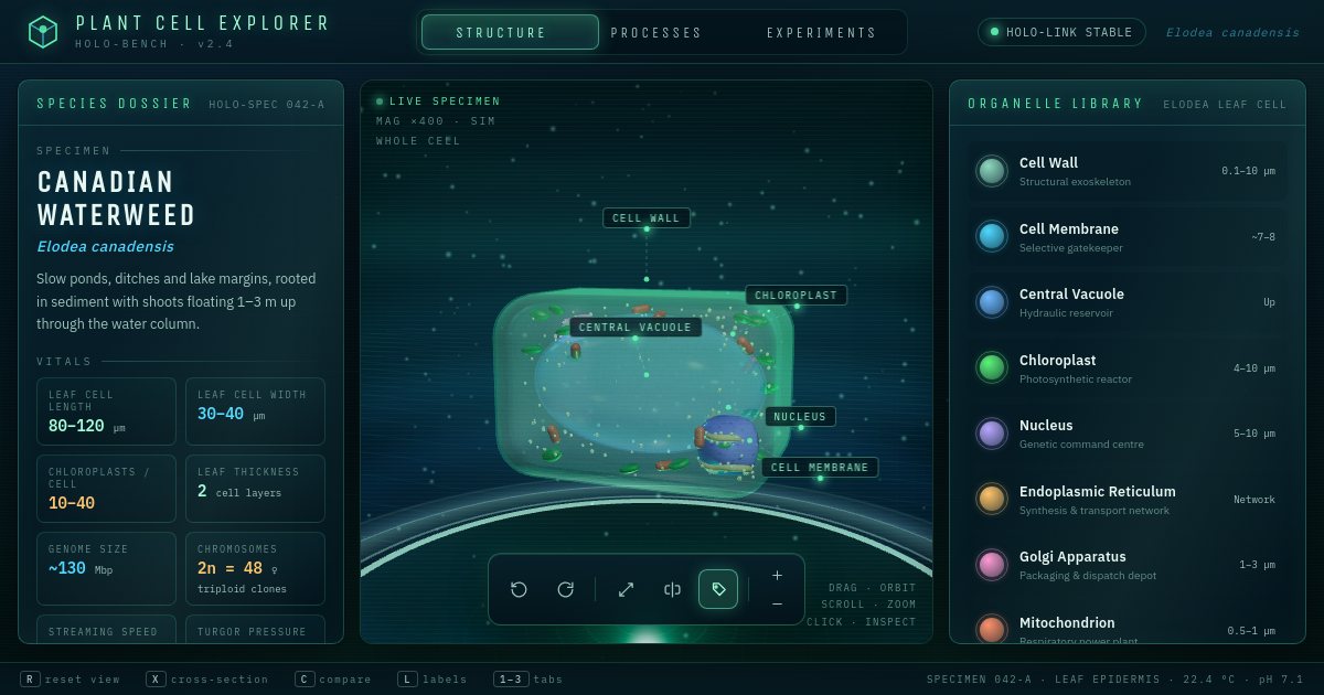 Screenshot of the Plant Cell demo